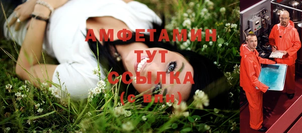 шишки Алексеевка