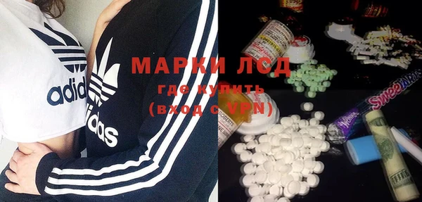 стафф Алзамай