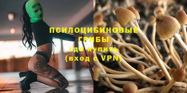стафф Алзамай