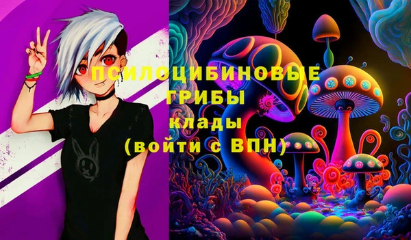 шишки Алексеевка