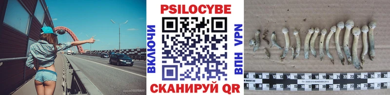 darknet какой сайт  Электрогорск  Галлюциногенные грибы Psilocybine cubensis 