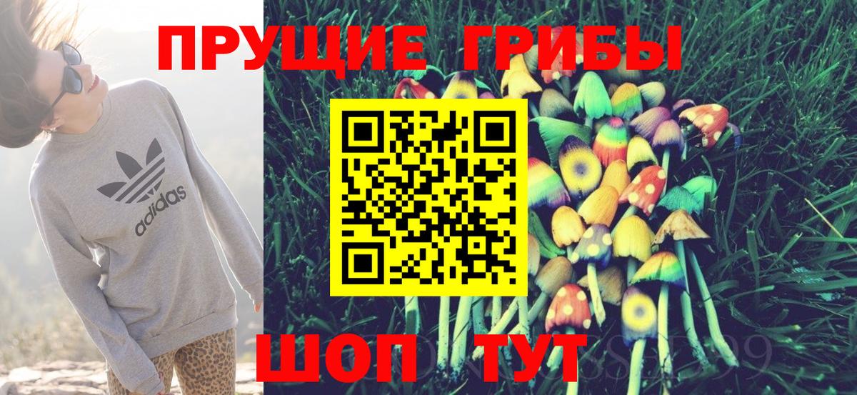купить   Вход с VPN  Галлюциногенные грибы Psilocybe  Электрогорск  Псилоцибиновые грибы Psilocybine cubensis 